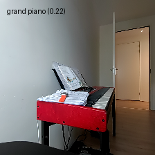 Image classification model with an overlay